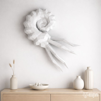 Ammonite shell Ammonite shell